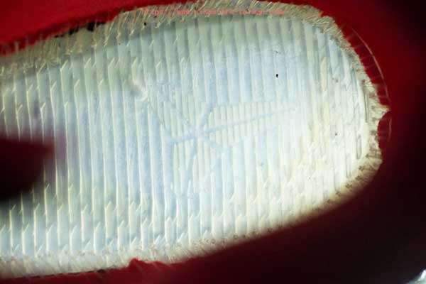 Kobe 11 怎麼樣?Nike Kobe 11鞋評! Kobe 11鞋評