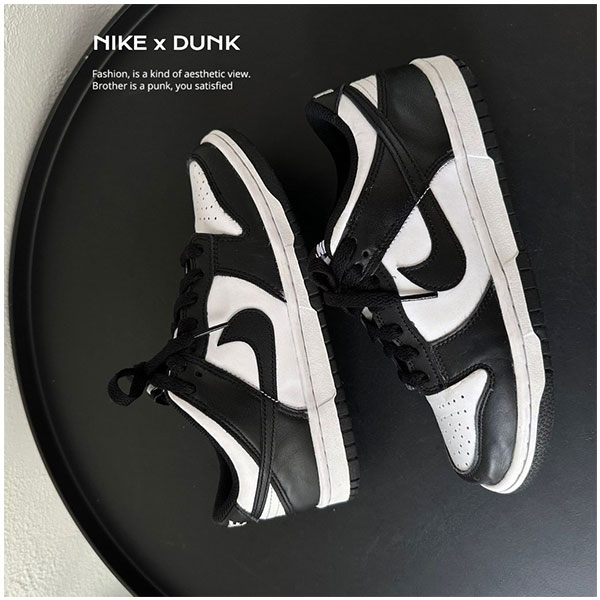 Nike Dunk Low Retro 系列鞋款的差異探索 Nike Dunk Low Retro差別