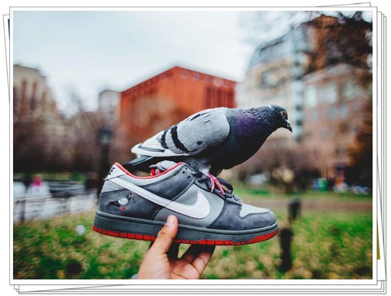 Nike SB Dunk Low哪裡買